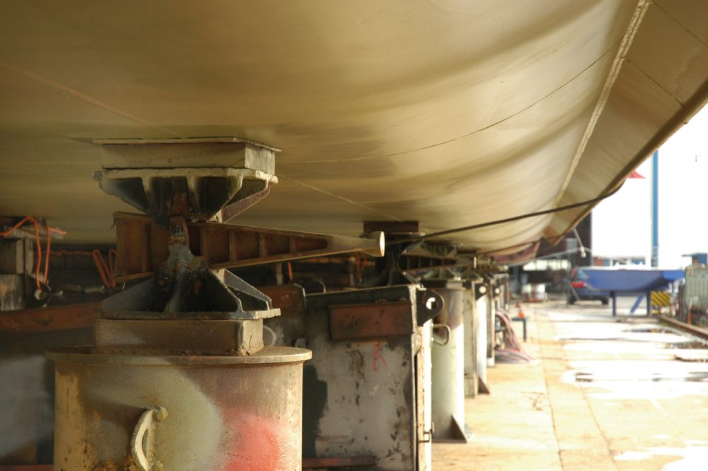 Gato Cuña Naval - Real